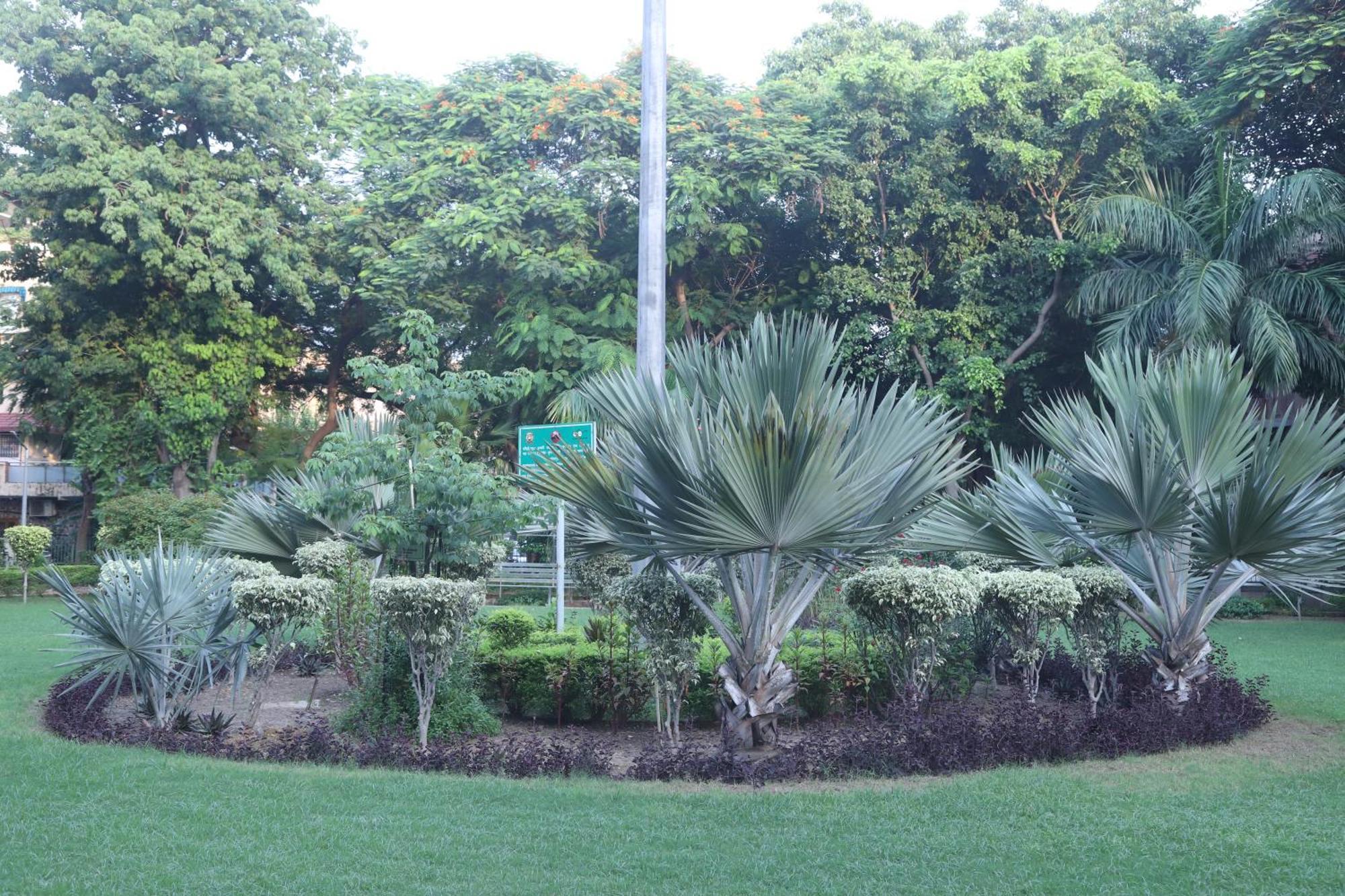 Divine India Service Apartment 3Bhk,B57 Sarita Vihar,Apollo นิวเดลี ภายนอก รูปภาพ